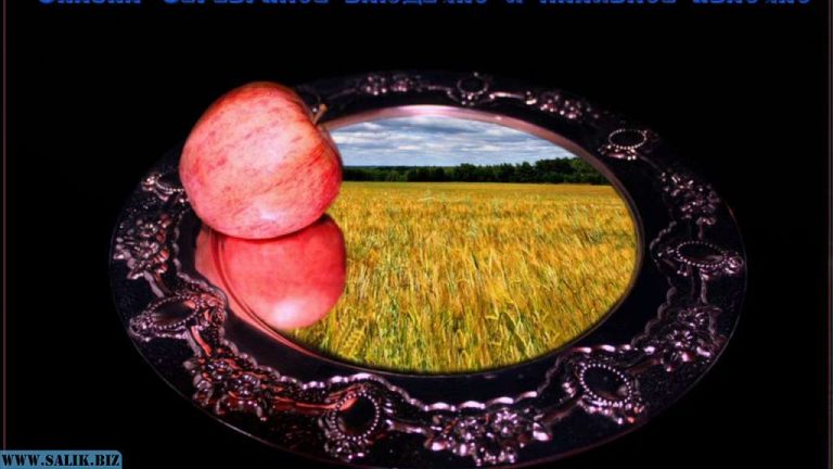 501dc566625d7b831dc9738a224eda7b