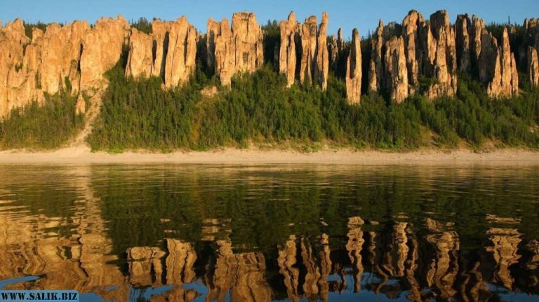 5411fa13fb24fb9b1cd9fba23212c44f