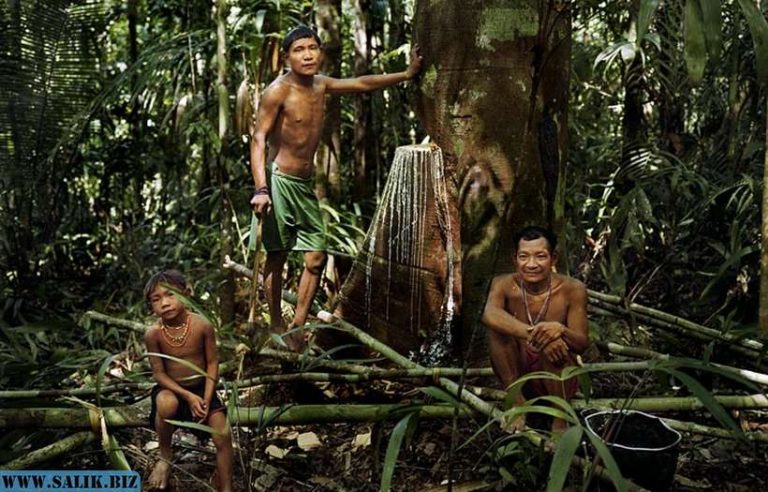 5ef2643dbc6d878a989ea01f2beb8278