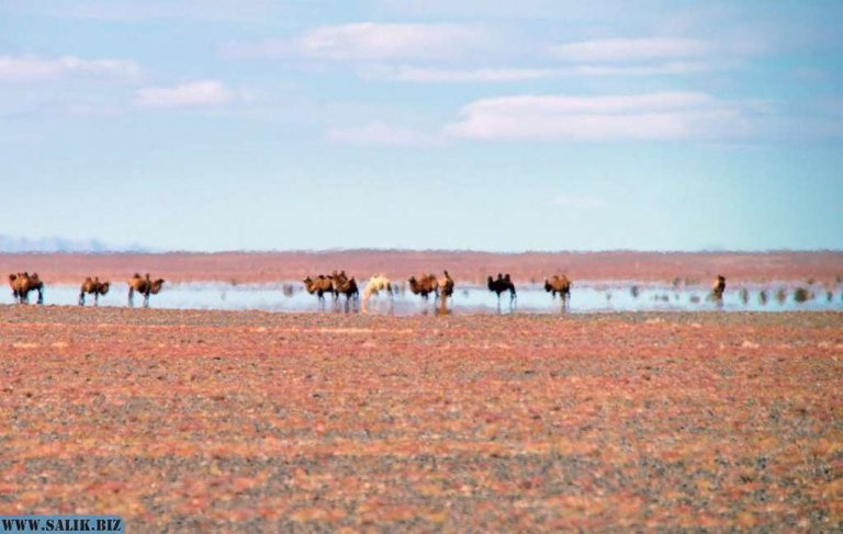 5f9093e8e668b17994af215e7854a28a