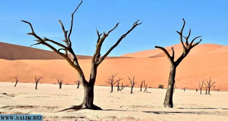 5fef5f115e9d6fad356fbceab91b0947