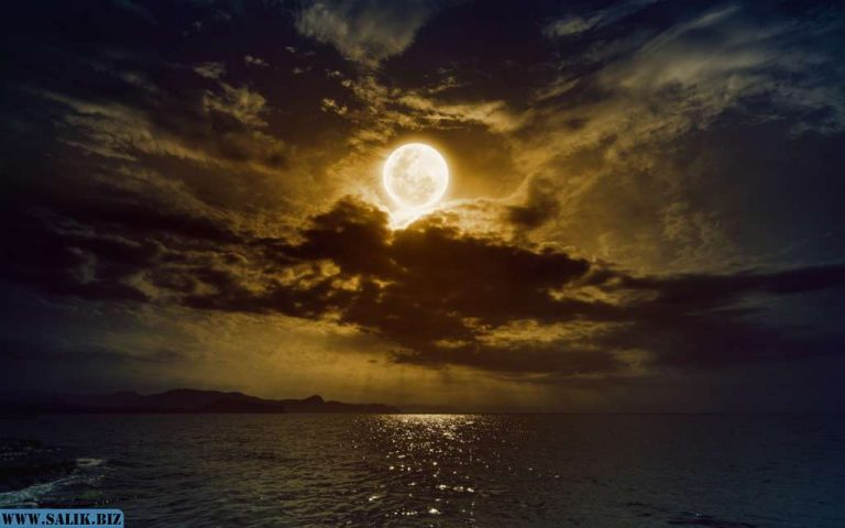 74d33a6d2856966ddb145cd432e4e7a0