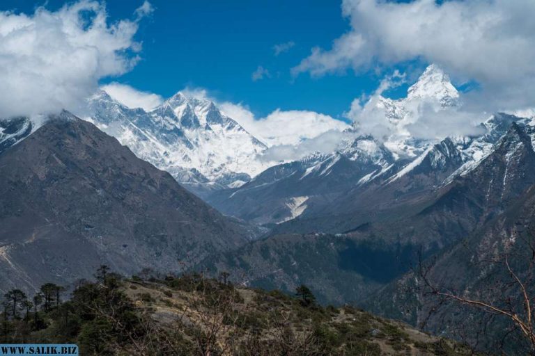 77beca7bed51ffb21446f72193e92899