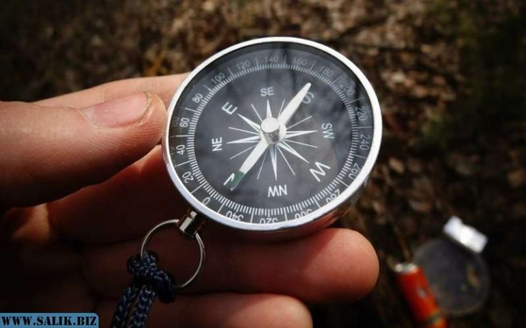 7910f8e908c092b39af9722f50e94a9d