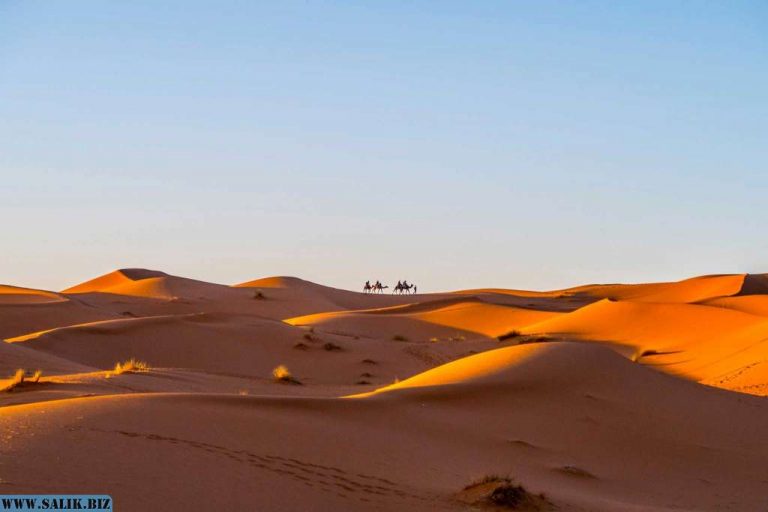 7d4560698f2d5925b4d91746b9f363f3