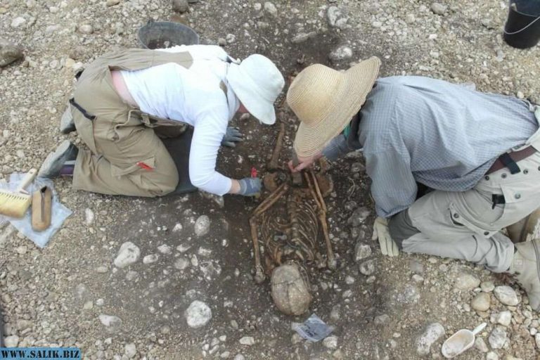 7ebaeed540024a68ebafd30c352ed141