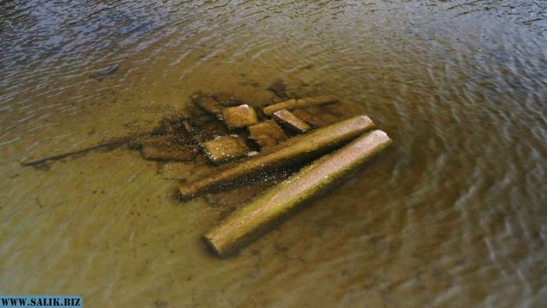 81b117277783be0b30047659f010940e