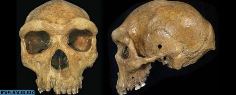 824fd3ba535d246122e7874613e5cb76