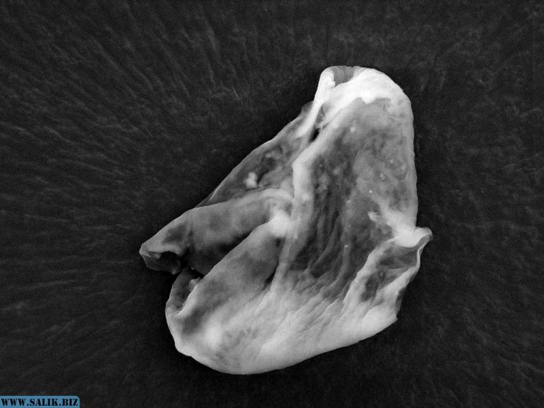 85b366f5152ccb8730ee0ca9d6e3e373