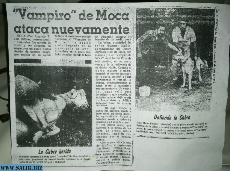 8a97ba09a29b418fdf1a201533c36a34