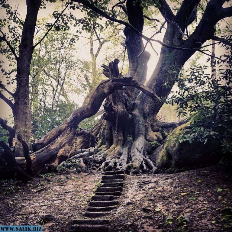 91cee7f289b0a0762f05cd334b1ab025