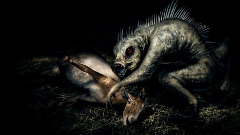 940a4fa73000c630943005785cd5ff8d