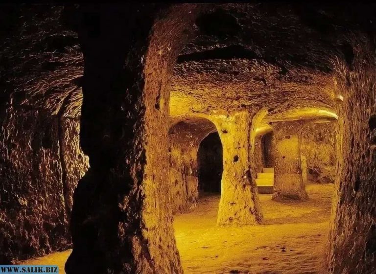 94cb2da3521567d9e43454793e49d9ed