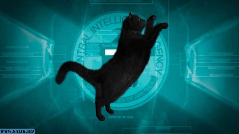 972f4792824dcc0ee3fb46cd02e5c590