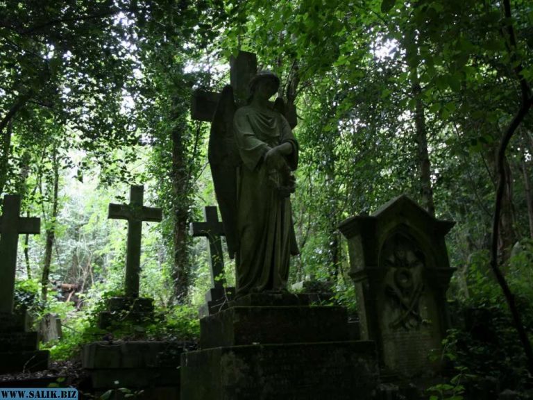 9e82b157e235987865925dbb7b60b978