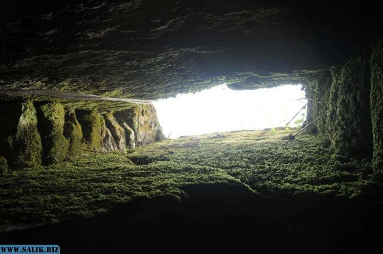 9e9d5cee6433ded61cf9a605281abc1f