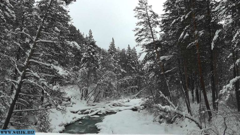 a2a4ecb615f389c24d86a79e46cdc6cf