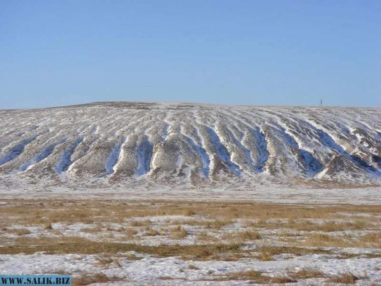 b214e628a0147f454dd66f01bf0371ec