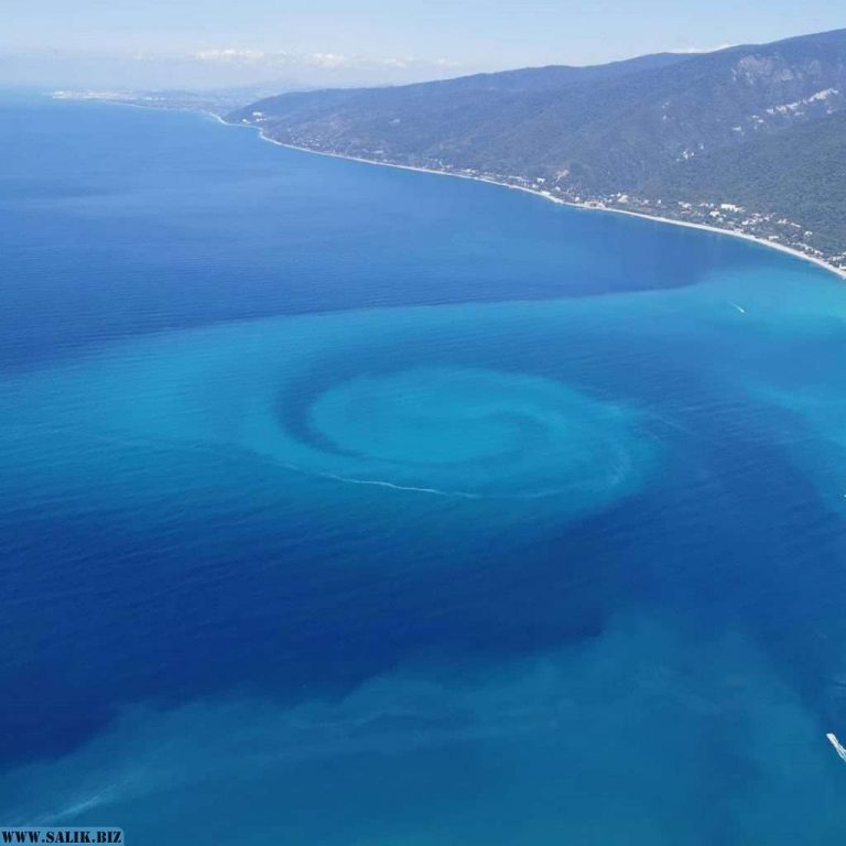 b6d221e05c4fd0e3745db272f541a558