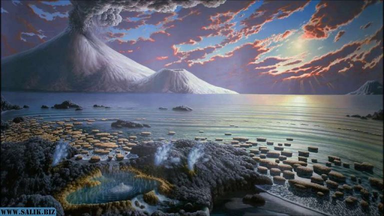 c78b1dbfdbd6d7a282c27f4496d4e144