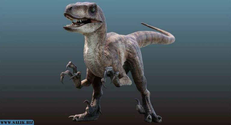 d07dd1f1be80b06c2fe2bc139e2a03ef