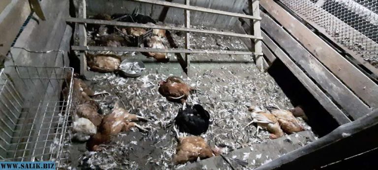 d9391bd96d52e56ee24b7d4a034e2c3b