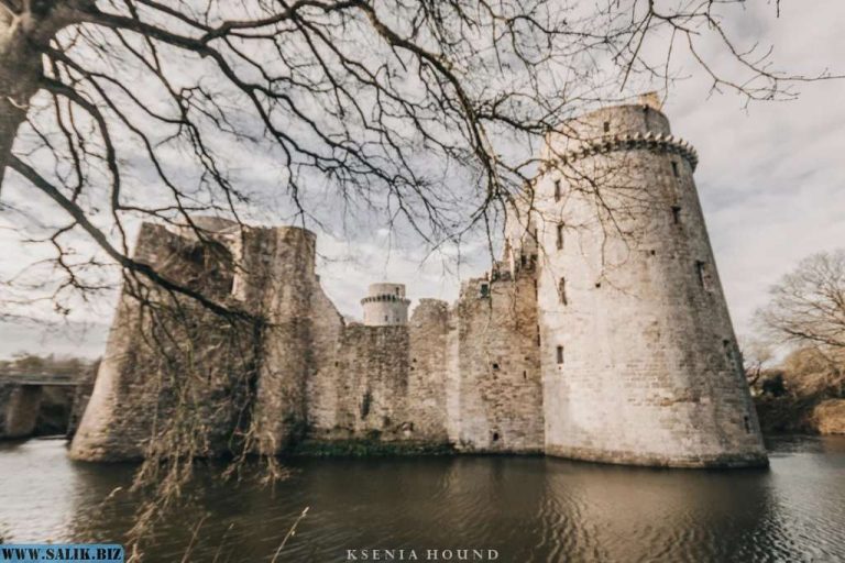 e1ac2c0f2201b135a478930cf29b1605