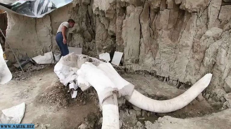 e2e06f216fb462218e60a0a0f3100e45