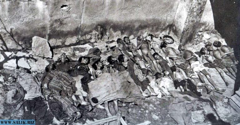 e4c30e8bbaeb2a52cd1a2a28a7f3a3af