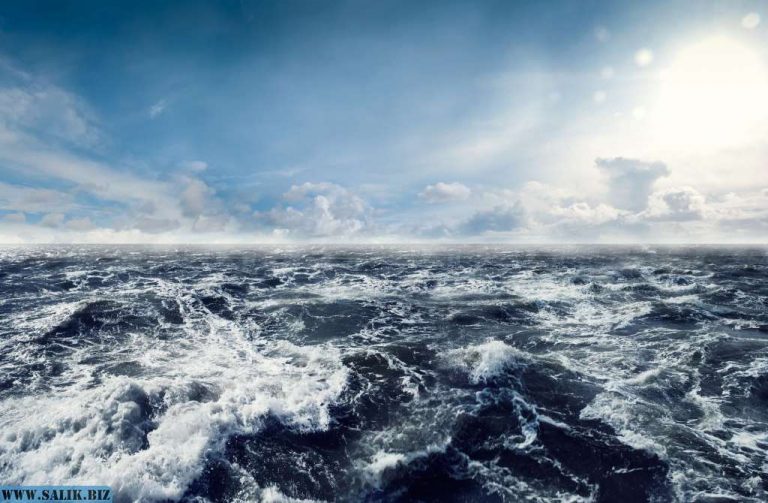 ea576ed186d9515ee0e08f43b3856483