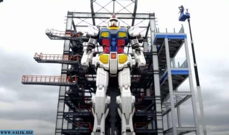 eab96780fa02b26a49031e91f5034083