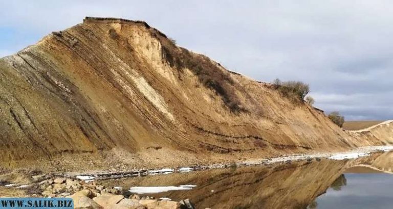 eb987b4e62a1badc550532f188f1c8d7