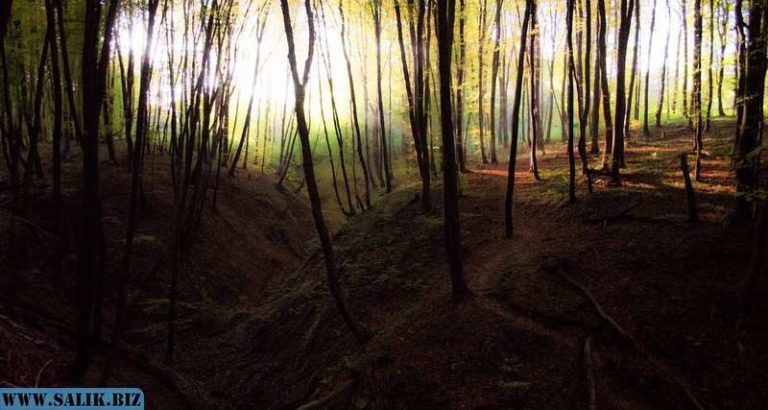 ee024a51748efff5dc0e0282cd024268