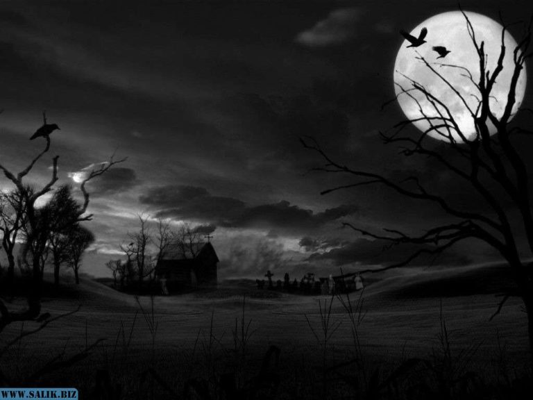 eec14fa9ee5c4db9a31bde9b2bfb26e5