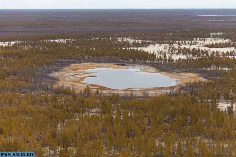 f2200460cd881c9c8bf2fccc17d5b047