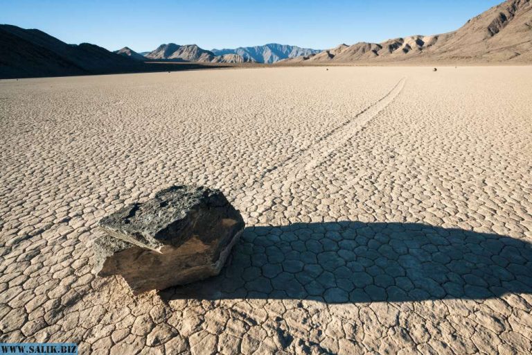 f7d8618897174887fce47e1d781422ec