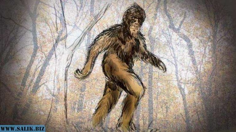 f87f8b498d1405672fd82e14de3efda0