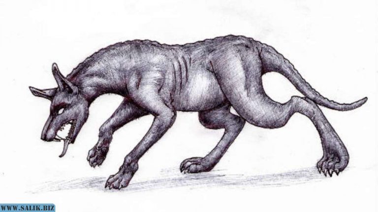 fa027f31bdf897e93a4af17a06db3973