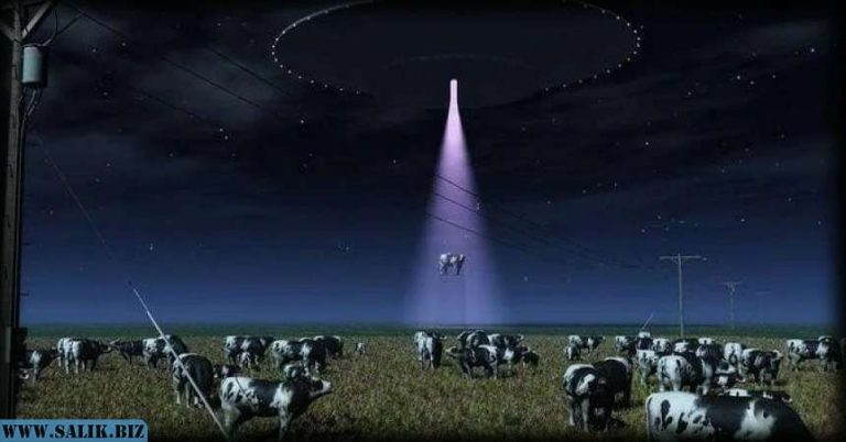 078c489d22158b165e439e64f909a8d4