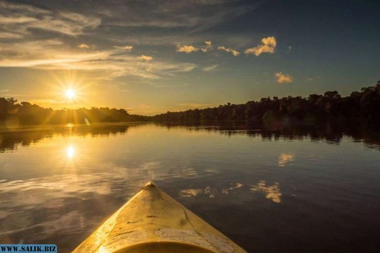 0f5a4af60094261616efd93b6d47472f