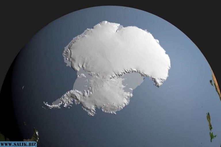 1cf263a823e28a49fd00b779240a7fb5