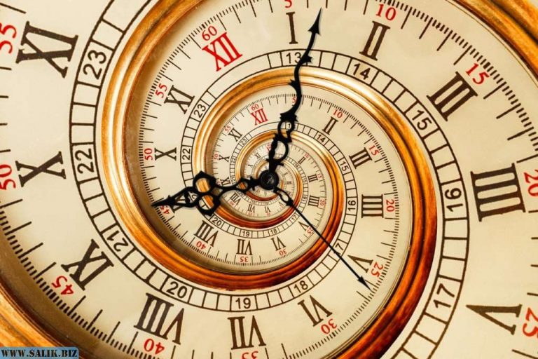 2505ef8a0a5a7477608f2343925c420a