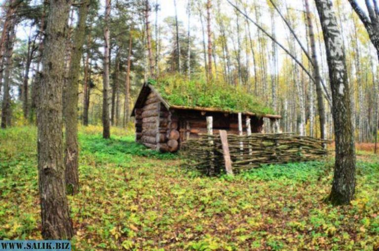 28d84a6897e381e18198a11f5de3ecdd