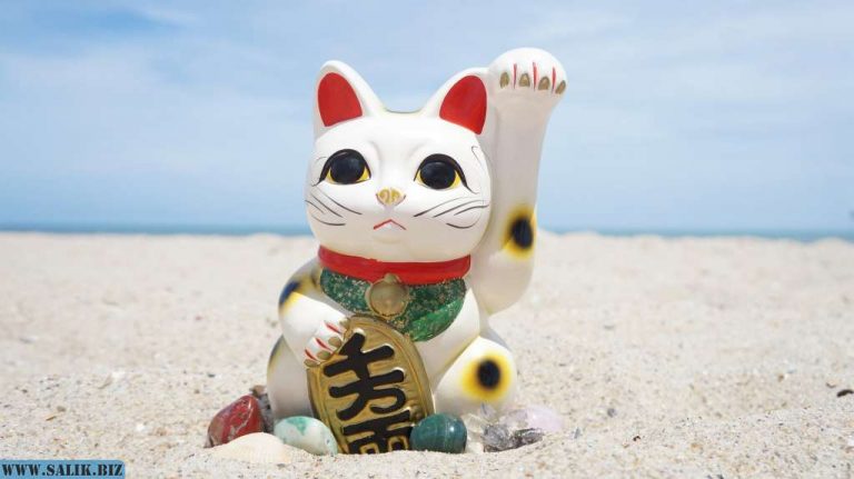 32e49aea17743437bf08c3f088e75833