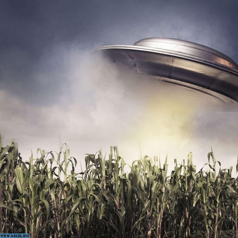 404f44d6f1d885d14963eef593c7ad02