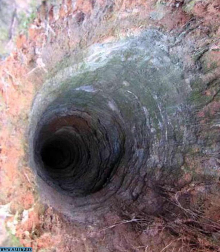 4051fcf578a7dadb6f11d578df741c1c