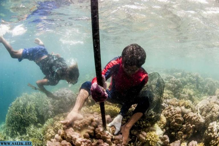 40d0622551a3aa493af19e468551bfe2