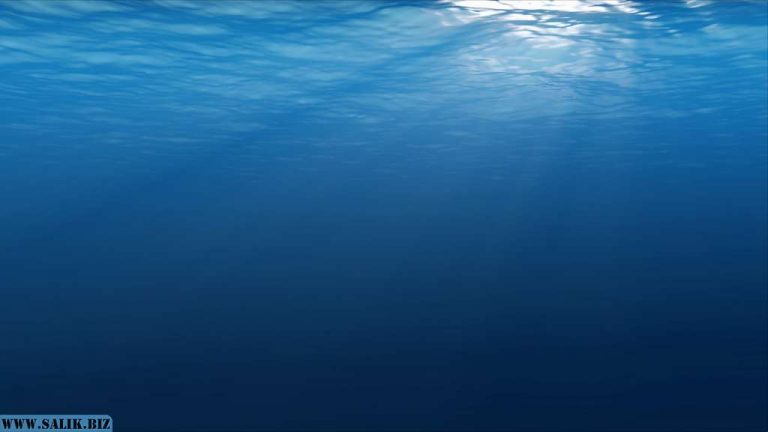 5245d47032fb0ec601dbd711e6cc2e13