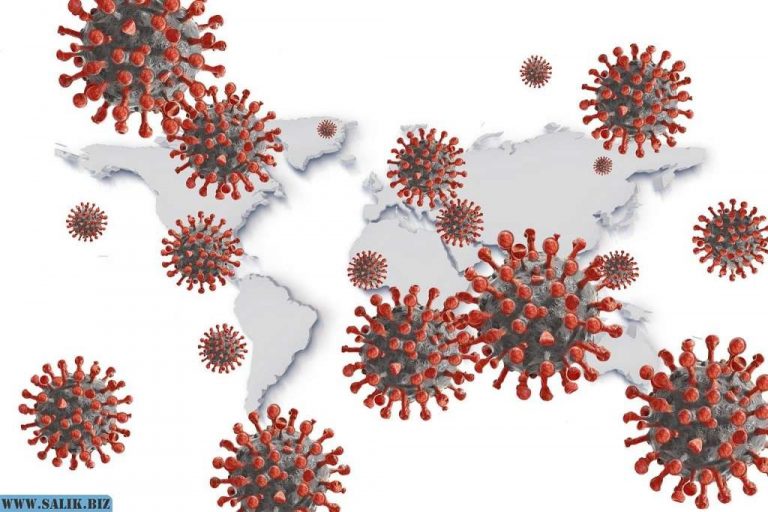 63d348356c863056666a18fae4397eaa