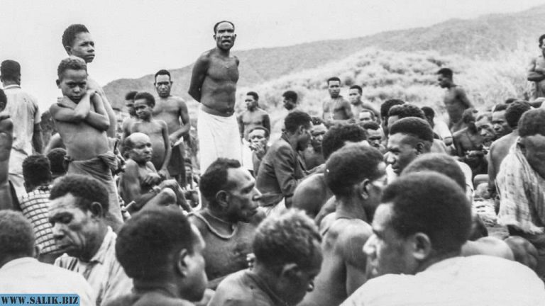 67039efe74ffb38d28a70ffc929d27ed